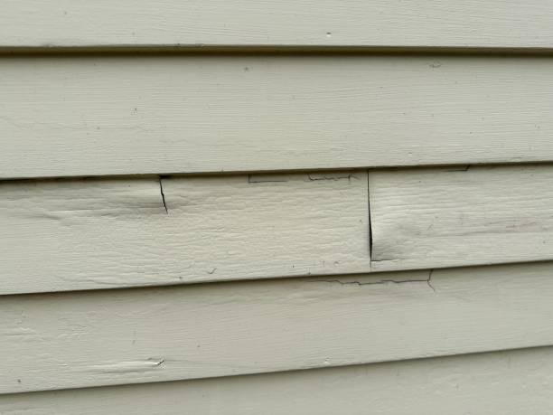 Same-Day Junk Removal Services in Boscobel, WI